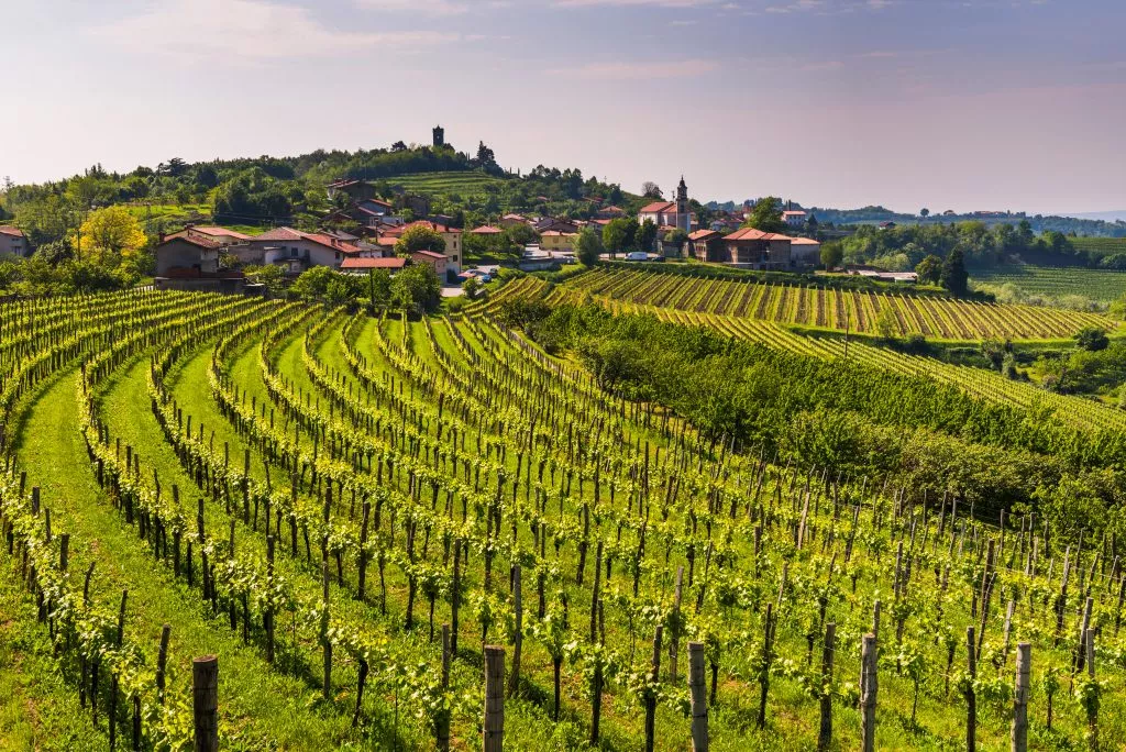 Kojsko, Goriska Brda, Slovenië. Uitzicht op wijngaarden en Kojsko, Goriska Brda (Gorizia-heuvels), Slovenië, Europa